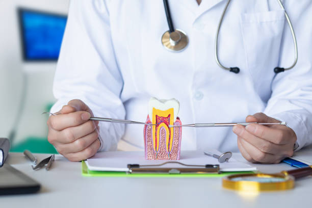 Best Emergency Dental Extractions in Bigfork, MT